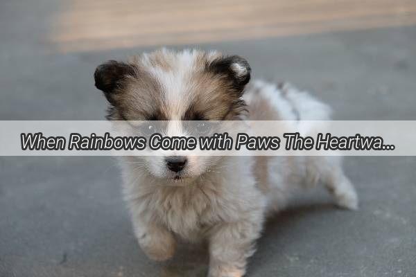 When Rainbows Come with Paws The Heartwarming Tale of a Dog Who Remembers the Umbrella